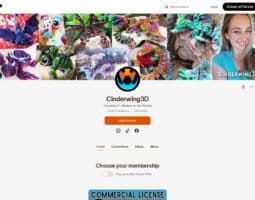 Cinderwing3D